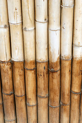Two color bamboo wall