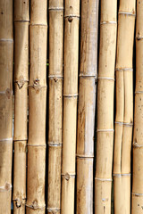 Bamboo Wall