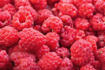 Fresh red raspberry macro background