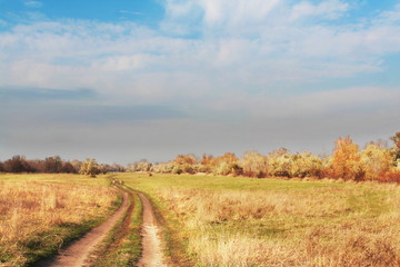 Fototapeta premium Road in mountains meadow