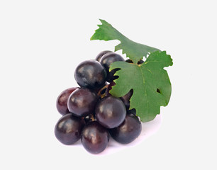Grapevine isolated on white background