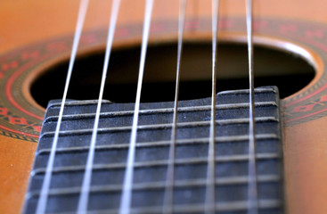 Obraz premium Guitar Strings