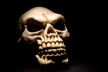 Obraz premium close up shot of an Evil Skull...