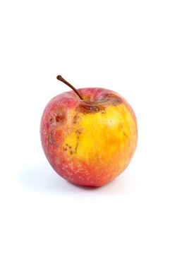 Slightly rotten apple isolated on the white background