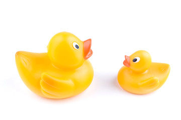 An adult rubber duck educates a juvenile