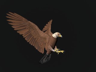 Obraz premium 3D illustration of an eagle isolated over black