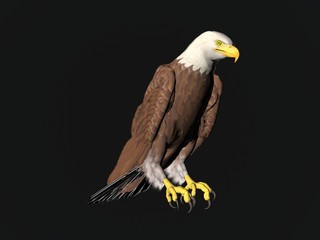 3D illustration of an eagle isolated over black