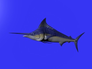 3D illustration of a marlin isolated over blue