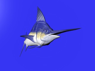 3D illustration of a marlin isolated over blue