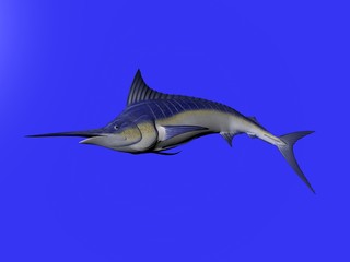 3D illustration of a marlin isolated over blue