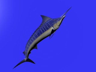 3D illustration of a marlin isolated over blue