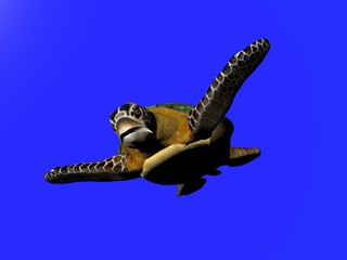 Fototapeta premium 3D illustration of a great sea turtle isolated