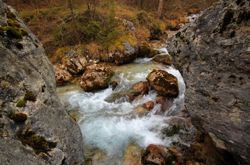 Mountain stream
