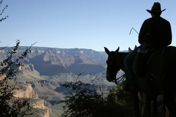 Papier Peint photo Lavable Canyon Silhouette of a mule rider at the Grand Canyon