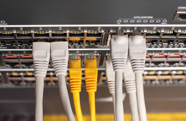 A shot of network cables connected to switches
