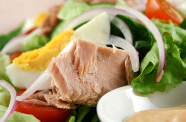 Freshly prepared tuna and egg salad with dressing.