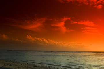 Tropical Dream Beach Paradise of the South Pacific