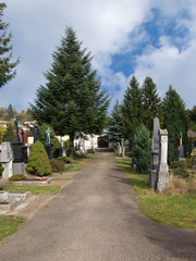 Naklejka premium Friedhofsweg