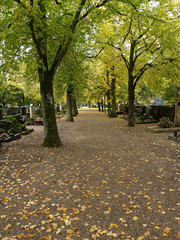 Herbstallee