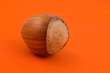 close up shot of a Hazelnut on orange background.