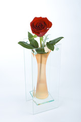 Red rose is in the orange glass vase