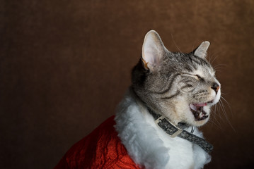 A cat dressed in Christmas clothing taking a big yawn