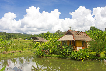Obraz premium luxury resort in the tropics, situated in beautiful garden