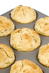 Freshly Baked Muffins