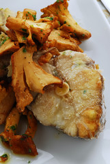 Palombo con le finferle - Secondi pesce -