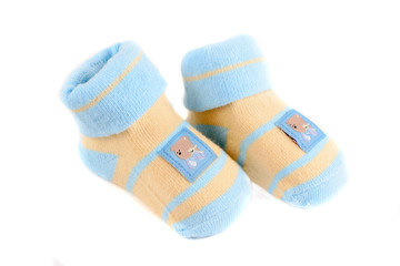 little baby socks with teddy bears on a white background