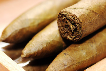 cigars are in a box. Cigars close up.