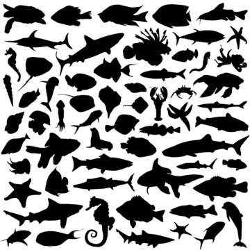 sea animals vector