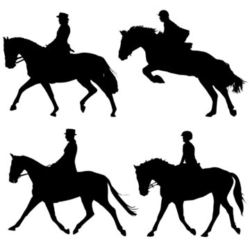 horse and riders vector