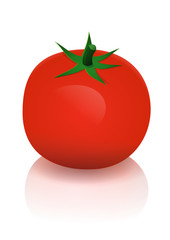 Tomate (reflet)