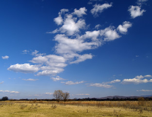 An autumn landscape with a meadow and clouds