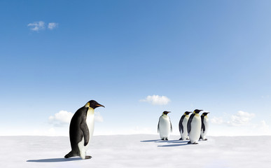 Fototapeta na wymiar Pięć Emperor Penguins w Antarktyda