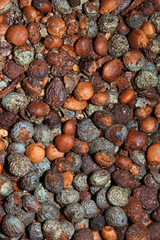 fine macro image of pepper seed spice texture