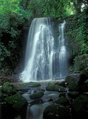 Small deep forest waterfall in sunny summer day
