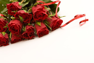 bunch of red roses with ribbon, on white