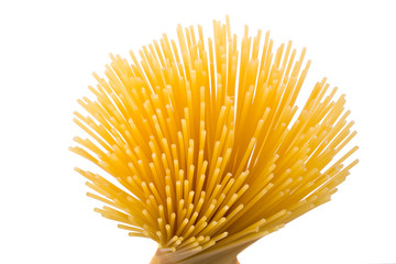 rays of spaghetti on white background