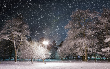 Trees covered with snow, dark sky and lantern through snowing. - 10446072
