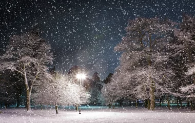 Store enrouleur occultant Hiver Arbres couverts de neige, ciel sombre et lanterne à travers la neige.