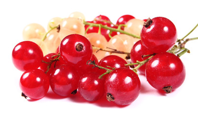 Fresh red and white currants isolated on white background