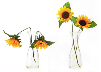 Fototapeta premium Prima e dopo!