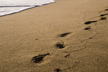 Fototapeta na wymiar few footprints on brown sand
