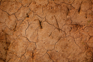 background texture cracked groun - drought and global warming