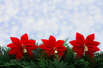 Christmas tree limb with red poinsettia flowers on snowflake