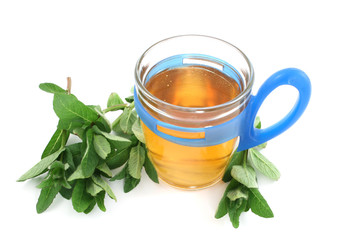 cup of tea isolated on white