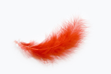 red feather