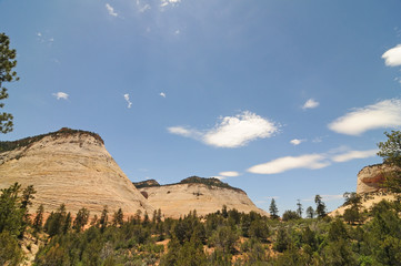 Checkerboard Mesa, Zion NP, Utah